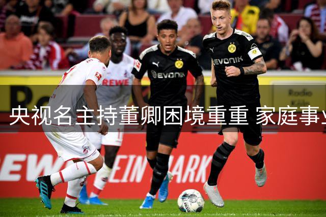 央视名主持董卿困境重重 家庭事业双重重压接踵而至
